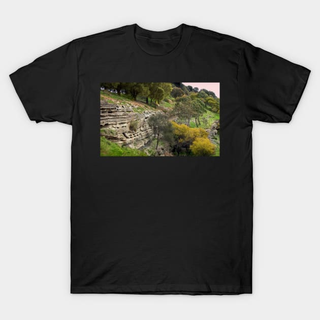 Volcanic Strata, Tower Hill T-Shirt by rozmcq